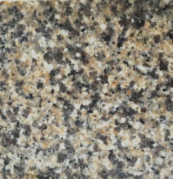 G617 Hazy Borwn Granite Sample