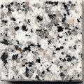 G640 Black Spot Gray Granite