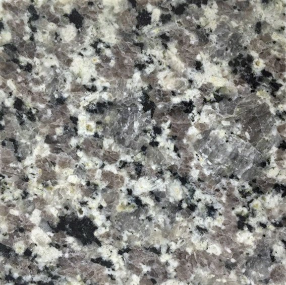 G701 Galaxy Grey Granite Sample