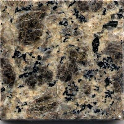 GX004 Leopard Skin Granite Sample