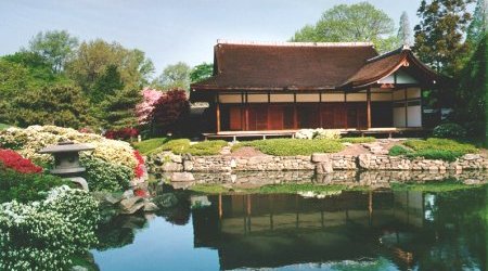 Japanese Garden