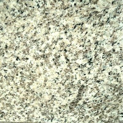 GW002 Tiger White Granite Sample